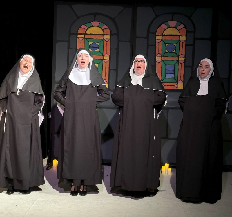 Review: THE SOUND OF MUSIC at Theatre 29 Image