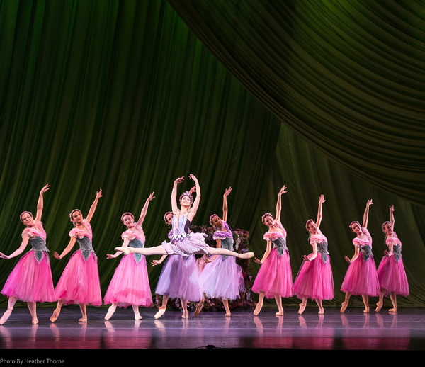 Photos: Nashville Ballet Presents NASHVILLE’S NUTCRACKER Image