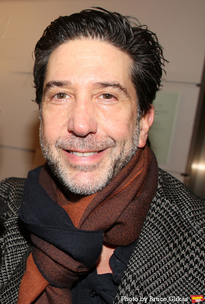 David Schwimmer Photo