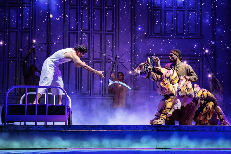 Review: LIFE OF PI at The Kennedy Center  Image