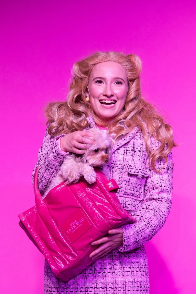 Review: LEGALLY BLONDE, THE MUSICAL at Desert Theatreworks  Image