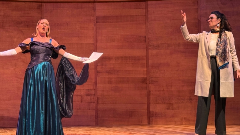 Review: MASTER CLASS at Diamond Head Theatre Image