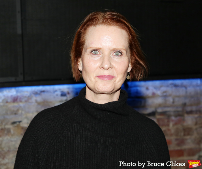 Cynthia Nixon Photo