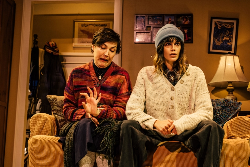 Review: EVANSTON SALT COSTS CLIMBING at Rogue Machine Image