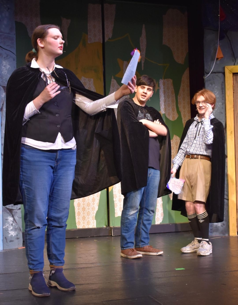 Review: PUFFS at The Pocket Community Theatre  Image