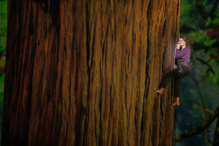 Photos: First Look at REDWOOD With Idina Menzel, De’Adre Aziza & More Image
