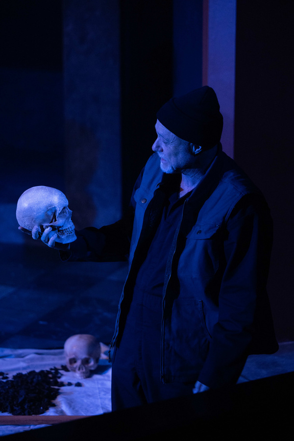 Photos: HAMLET at Ensemble Theatre Company  Image