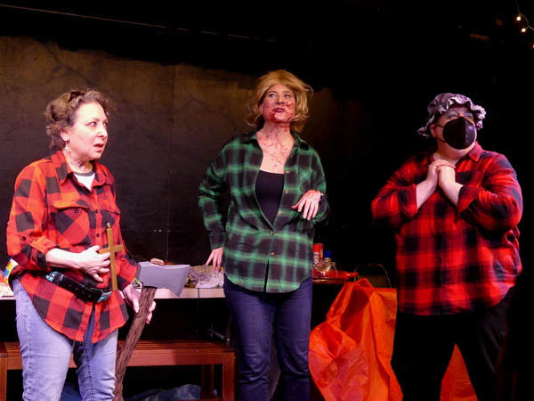 Photos: THE SCARY Now Playing At The Producers Club  Image