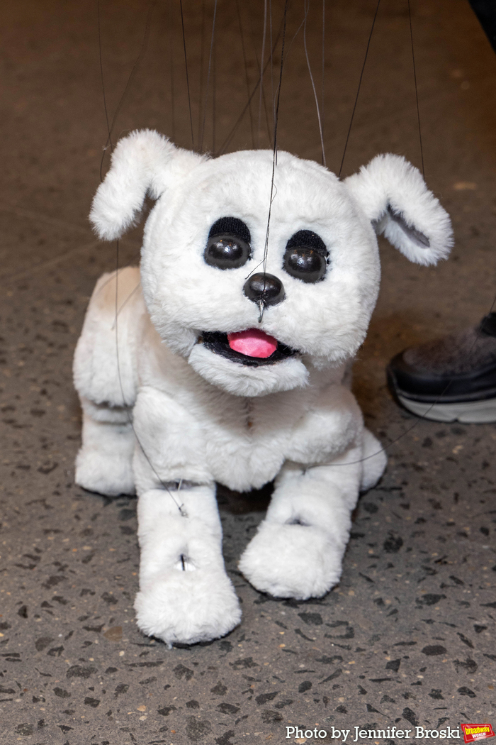 Photos: Jerry Mitchell & More Open the BOOP! Box Office Image