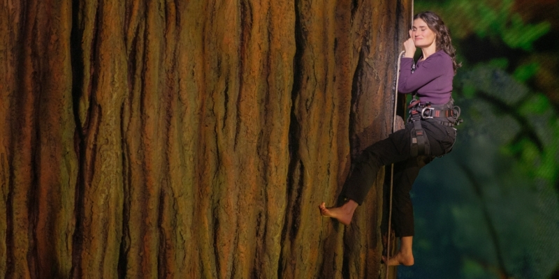 Wake Up With BroadwayWorld February 14, 2025 Image