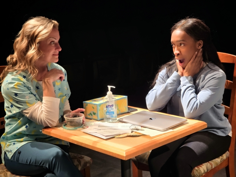 Review: MARY JANE at Three Bone Theatre  Image