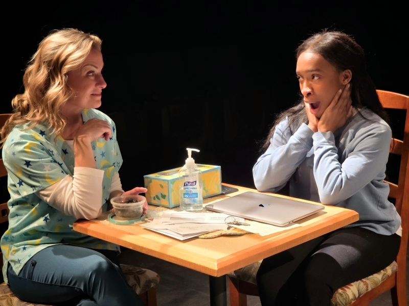 Review: MARY JANE at Three Bone Theatre Image