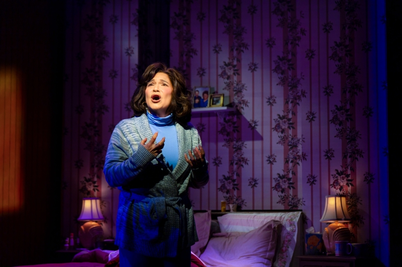 Review: THE BEDWETTER at Arena Stage  Image