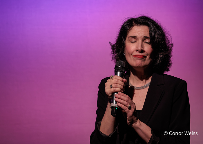 Photos: Highlights from Meg Flather's WALK HOME at Don't Tell Mama Image