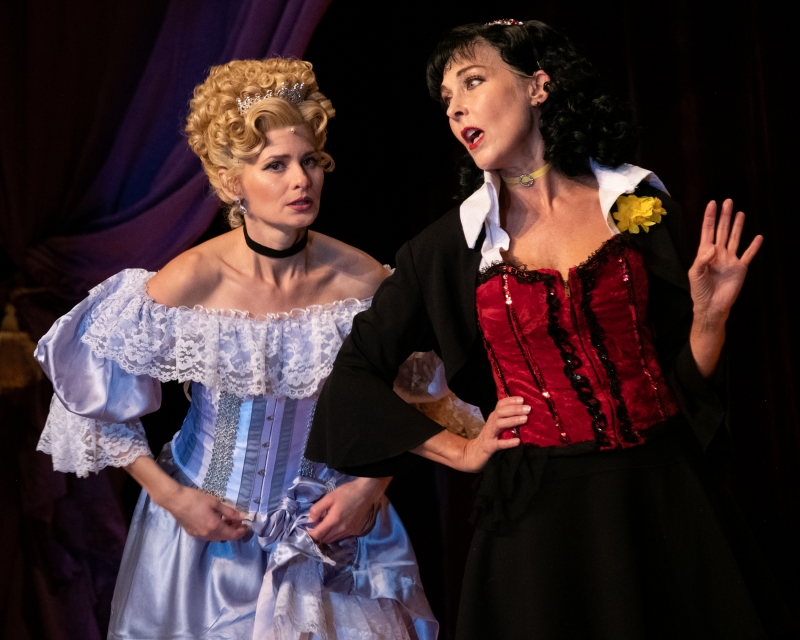 Previews: DISENCHANTED! at Straz Center  Image