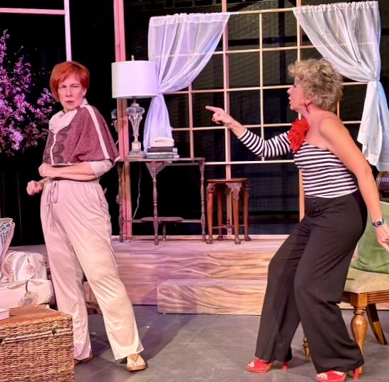 Review: VANYA AND SONIA AND MASHA AND SPIKE at Revolution Stage Company  Image