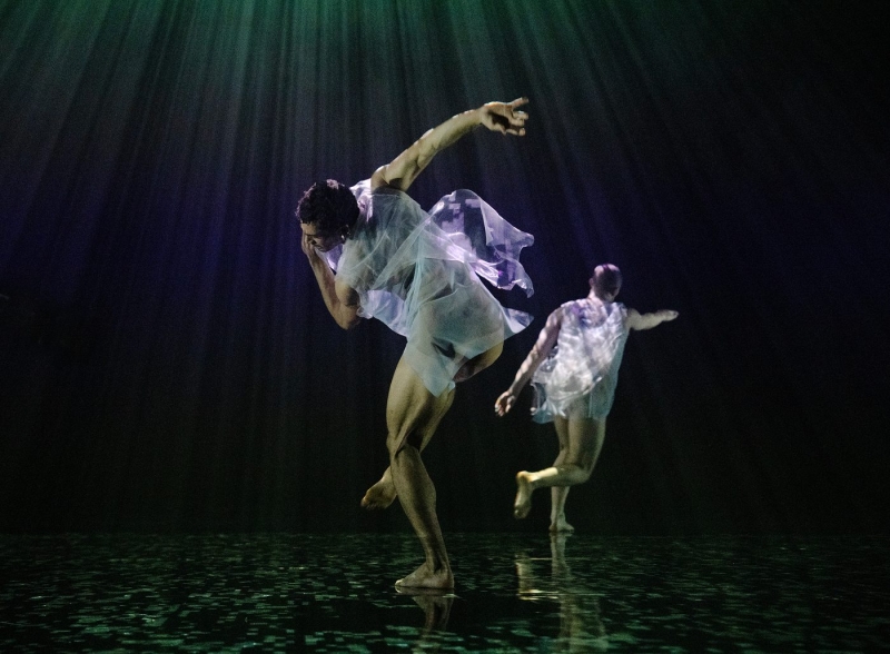 Review: DEEPSTARIA, Sadler's Wells  Image