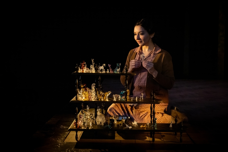 Review: THE GLASS MENAGERIE at Alley Theatre  Image