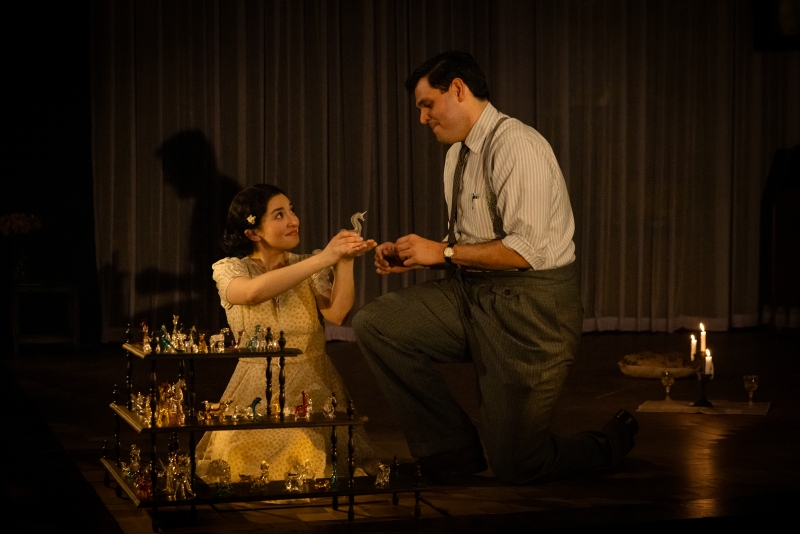 Review: THE GLASS MENAGERIE at Alley Theatre Image