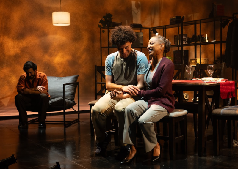 Review: WE ARE CONTINUOUS at Diversionary Theatre  Image