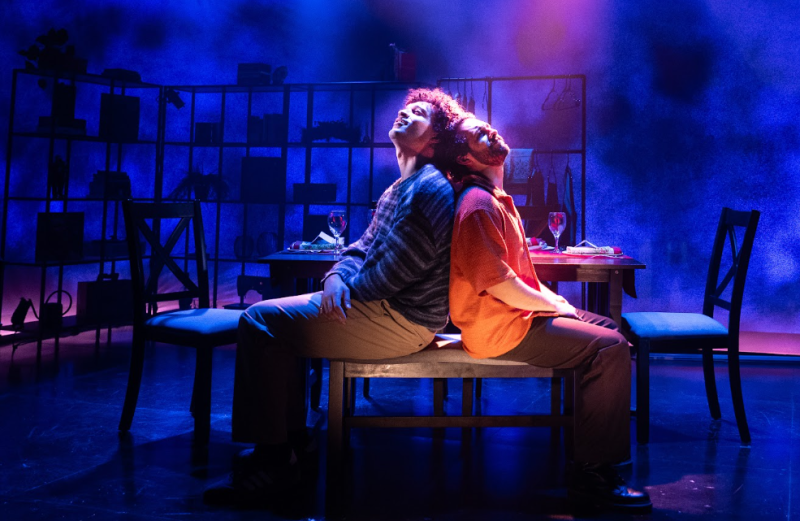 Review: WE ARE CONTINUOUS at Diversionary Theatre  Image