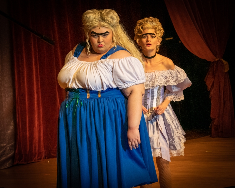 Review: DISENCHANTED! at Straz' Jaeb Theatre  Image