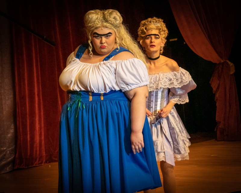 Review: DISENCHANTED! at Straz' Jaeb Theatre Image