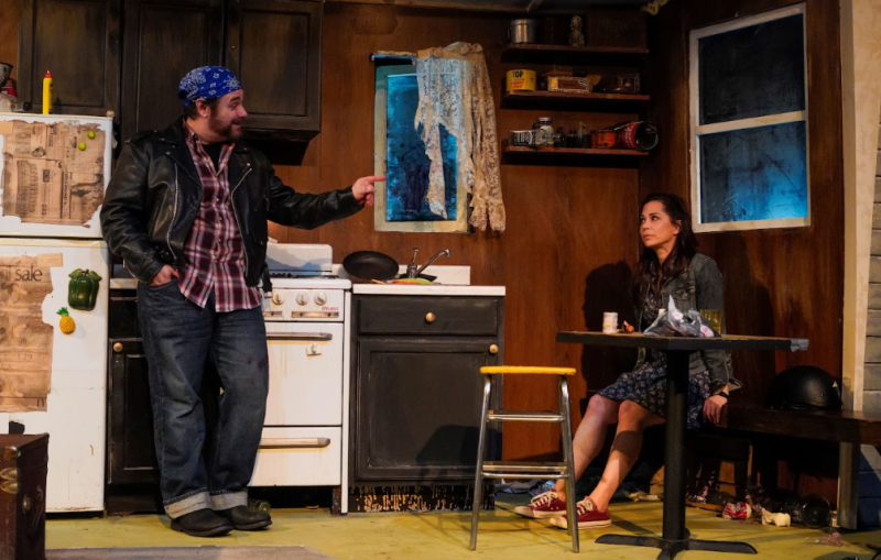 Review: THE DARK HEART OF DOOLEY STEVENS at Backyard Renaissance  Image