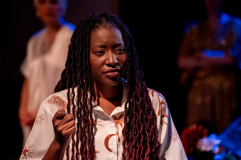 Review: FAIRVIEW at Ground Floor Theatre Image