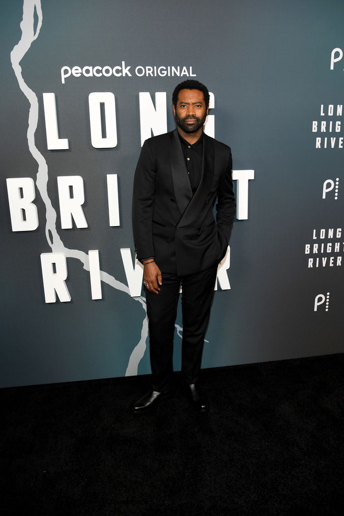 Photos: Amanda Seyfried & More at LONG BRIGHT RIVER New York Premiere  Image