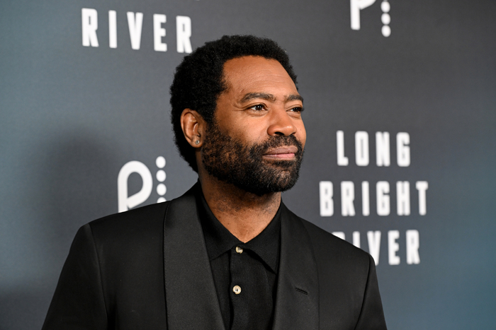 Photos: Amanda Seyfried & More at LONG BRIGHT RIVER New York Premiere Image