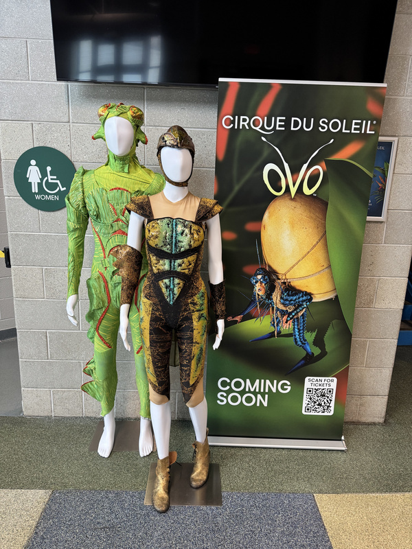 Photos: Cirque Du Soleil OVO Costume Installation On Display At Mohegan Arena At Casey Plaza  Image