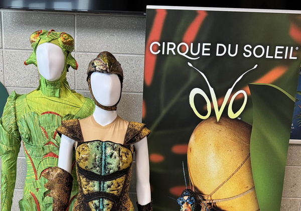 Photos: Cirque Du Soleil OVO Costume Installation On Display At Mohegan Arena At Casey Plaza  Image