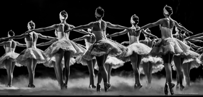 Review/Photos: SWAN LAKE at Academy Of Music  Image