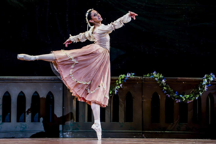 Review/Photos: SWAN LAKE at Academy Of Music  Image