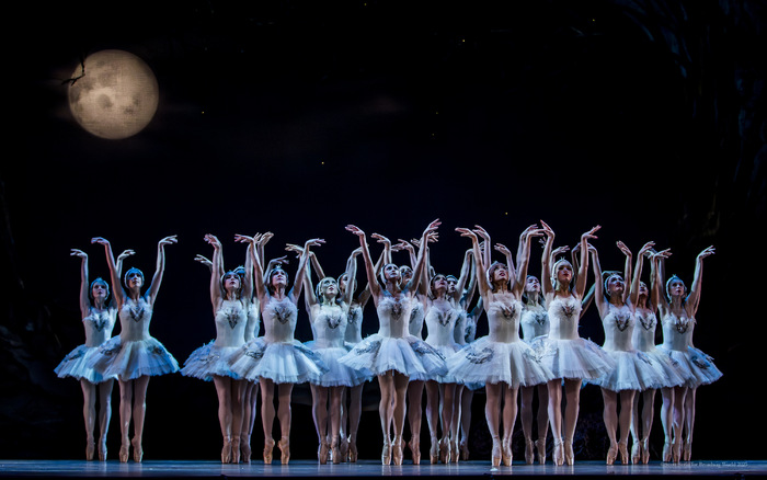 Review/Photos: SWAN LAKE at Academy Of Music  Image