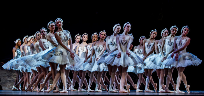 Review/Photos: SWAN LAKE at Academy Of Music  Image