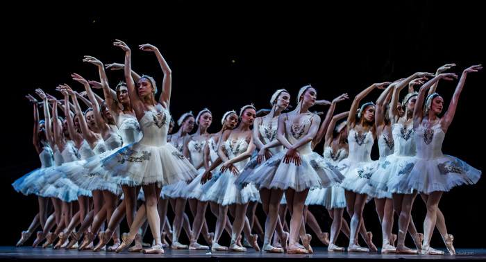 Review/Photos: SWAN LAKE at Academy Of Music  Image