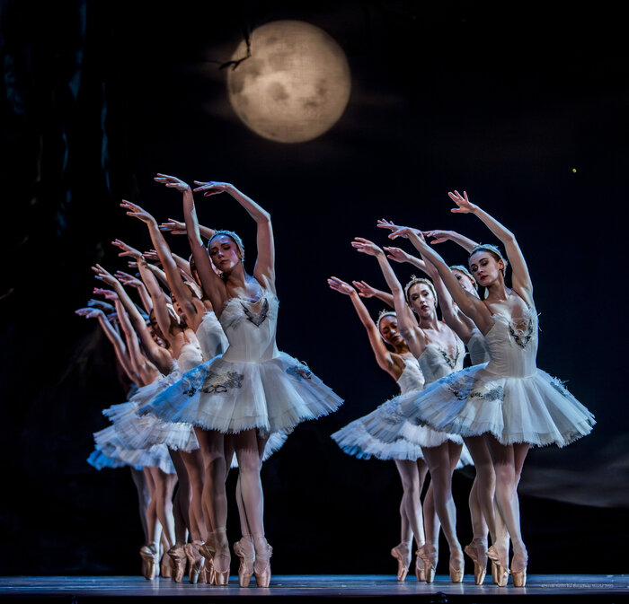 Review/Photos: SWAN LAKE at Academy Of Music  Image