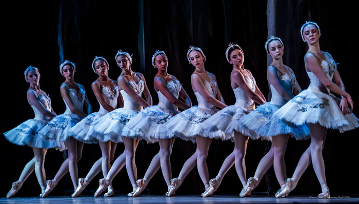 Review/Photos: SWAN LAKE at Academy Of Music  Image