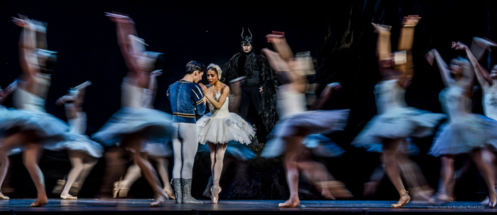 Review/Photos: SWAN LAKE at Academy Of Music  Image