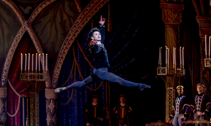 Review/Photos: SWAN LAKE at Academy Of Music Image