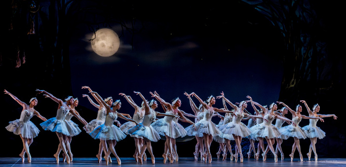 Review/Photos: SWAN LAKE at Academy Of Music  Image