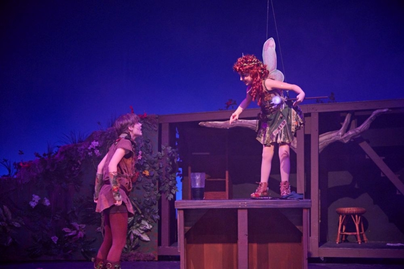 Review: PETER PAN: BROADWAY'S TIMELESS MUSICAL at Wildwood Park For The Arts  Image