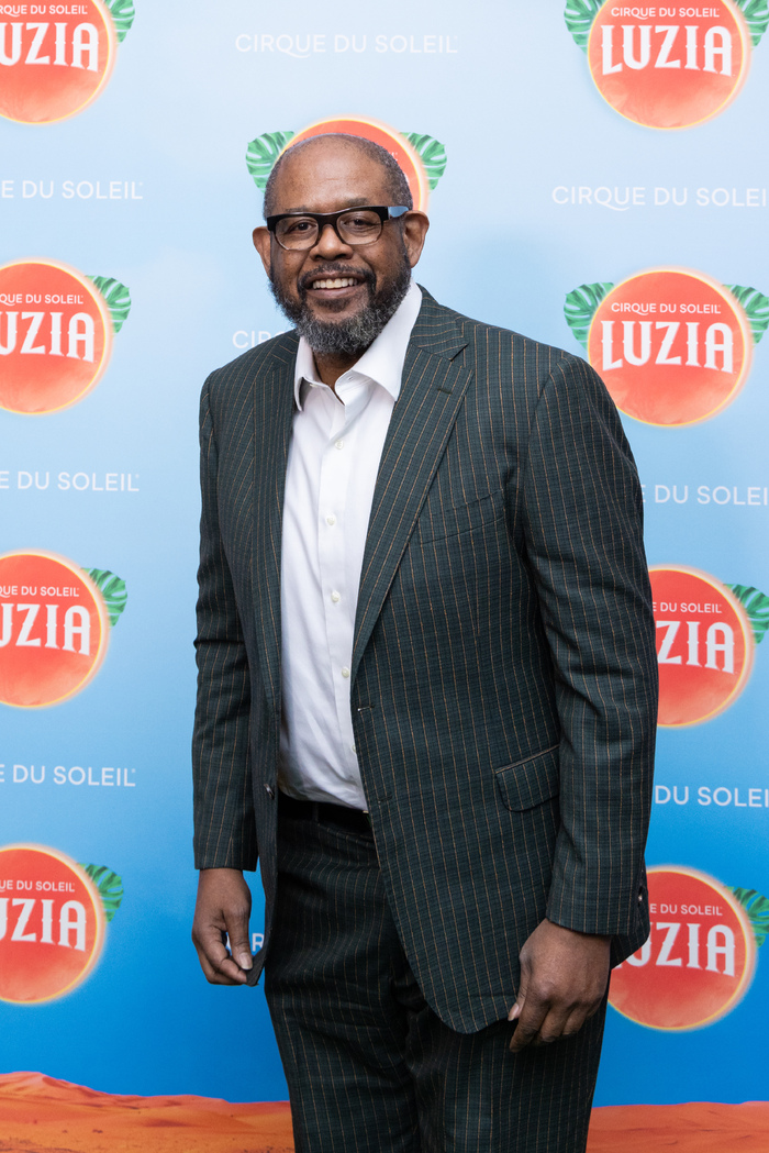 Photos: Inside Opening Night of Cirque du Soleil's LUZIA Image