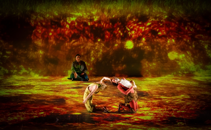 Review: THE LITTLE PRINCE, London Coliseum Image