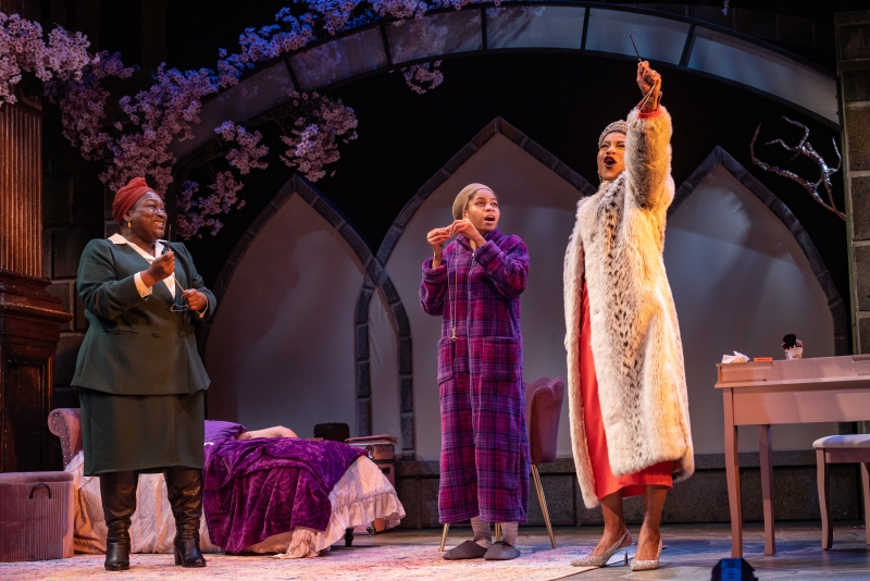Review: A ROOM IN THE CASTLE at Folger Theatre Image
