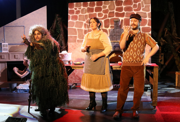 Photos: INTO THE WOODS at North Texas Performing Arts Repertory Theatre  Image