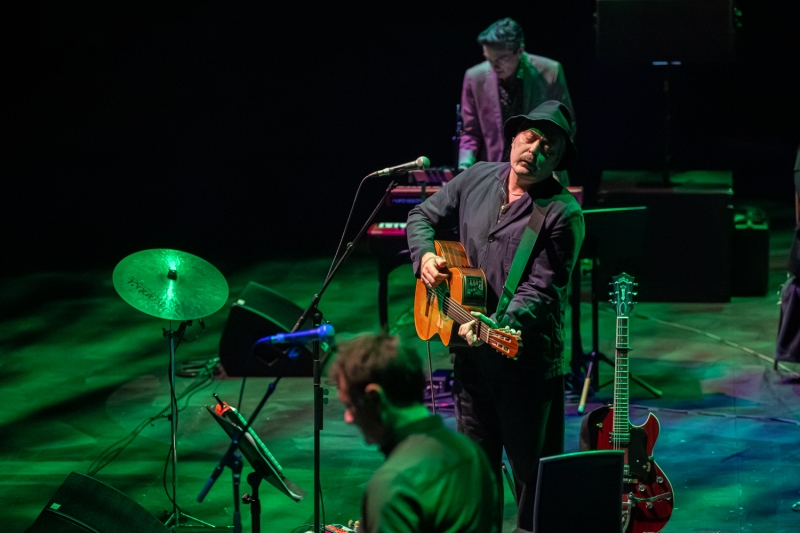 Review: THE TINDERSTICKS, Royal Albert Hall  Image