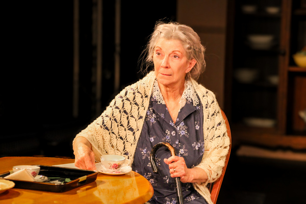 Photos: First Look At Sarasota Jewish Theatre's LOST IN YONKERS Image